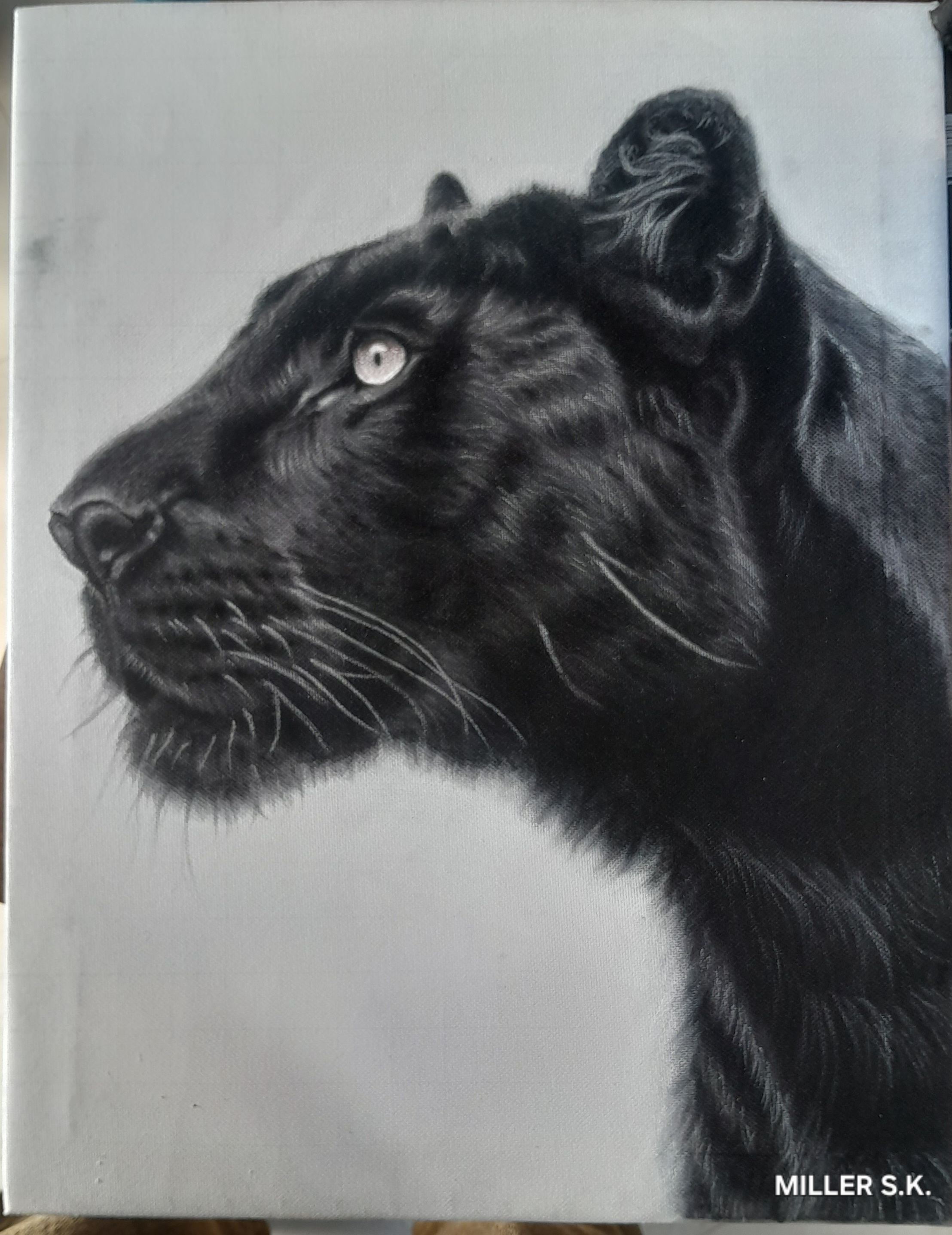 Panther